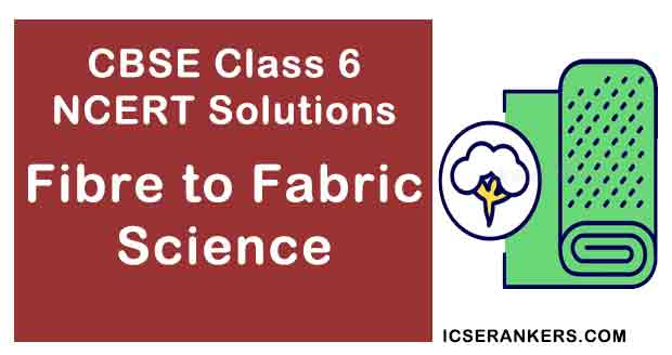 NCERT Solutions for Class 6th Science Chapter 3 Fibre to Fabric