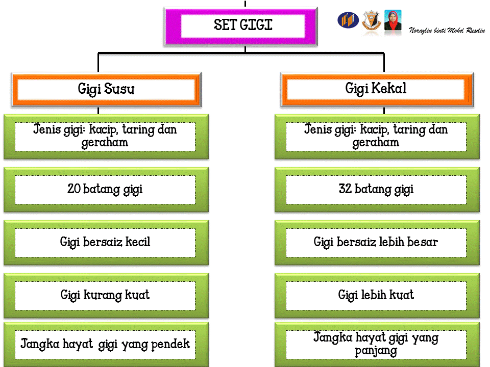 Dunia Sains dan Teknologi (Belajar dengan Ceria): Jenis 