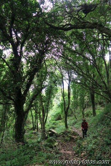 Canuto del Prior - Garganta del Capitán