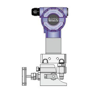 Differential Pressure Transmitter DPR-2000G Delta Mobrey