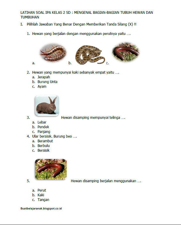 Contoh Latihan Soal IPA Kelas 2 SD  Bab Mengenal Bagian 