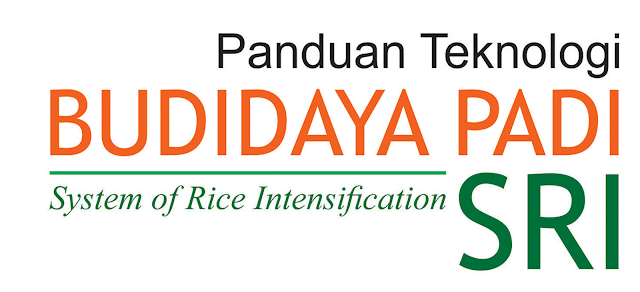 Panduan Teknologi Budidaya Padi SRI