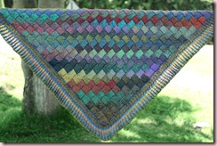 Autumn Shawl
