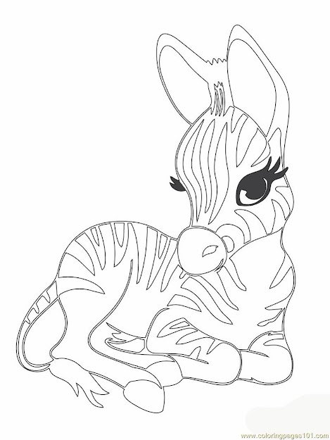 Cute Baby Zebra Coloring Page  Free Printable Coloring Pages