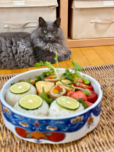 夏の爽やかかぼすおにぎり