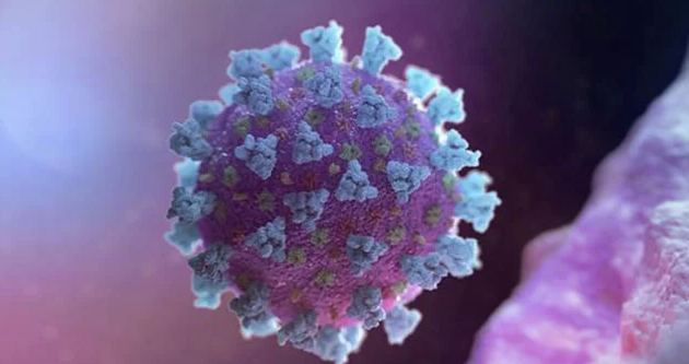 A new US government study details the sunlight virus