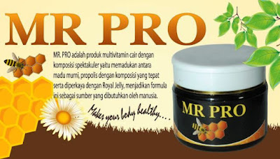 MR PRO suplemen penambah berat badan