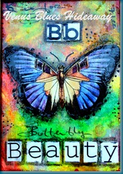 IMG_0376 IMG_0376