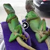 Dos iguanas en pleno relax total, no problemo (video)