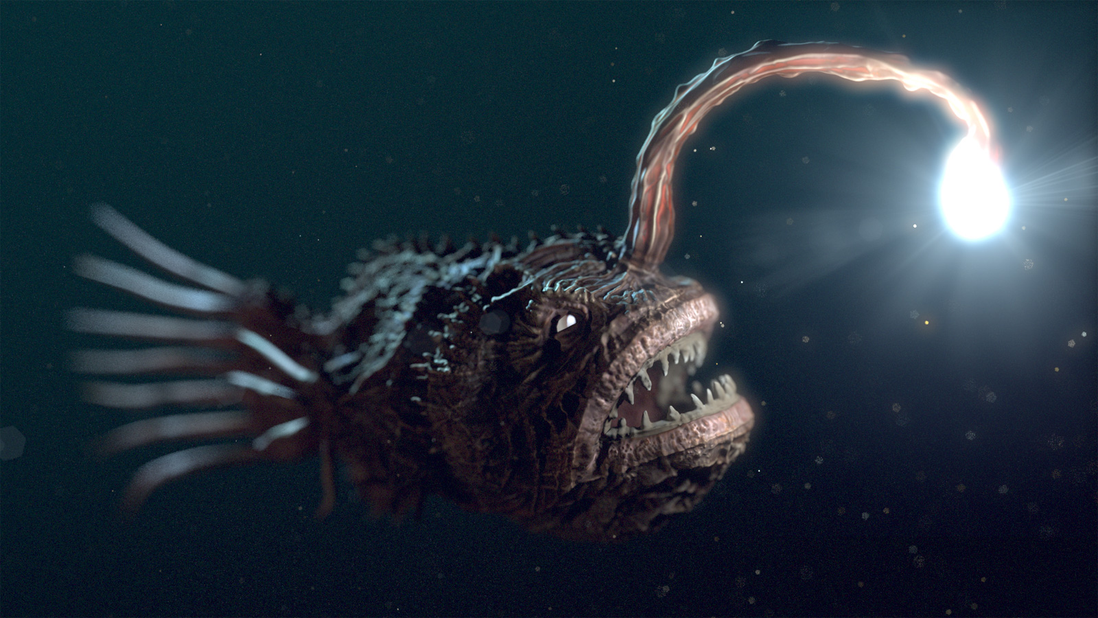 Dearn's Blog: The Deep "dark" Sea.Angler Fish (horror 