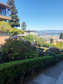 balade sur Lombard Street San Francisco