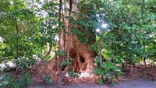 人文研究見聞録：宇須乃野神社・縣神社 ［三重県］