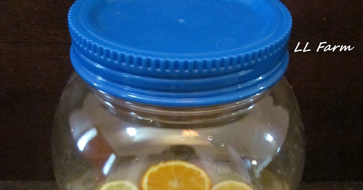 LL Farm: Citrus Lemonade (lemonade stands to New York City)