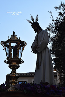 Domingo de Ramos Granada