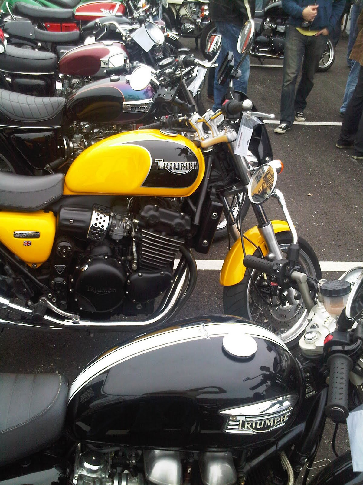 triumph thruxton for sale One of my favourites: the modern Thruxton 900.