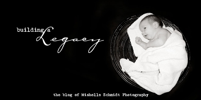 Mishelle Schmidt Photography