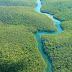 The Amazon River 