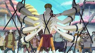 ワンピースアニメ 魚人島編 538話 ムッヒ | ONE PIECE Episode 538