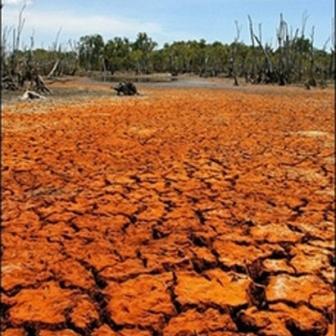 Australian Drought Devastation