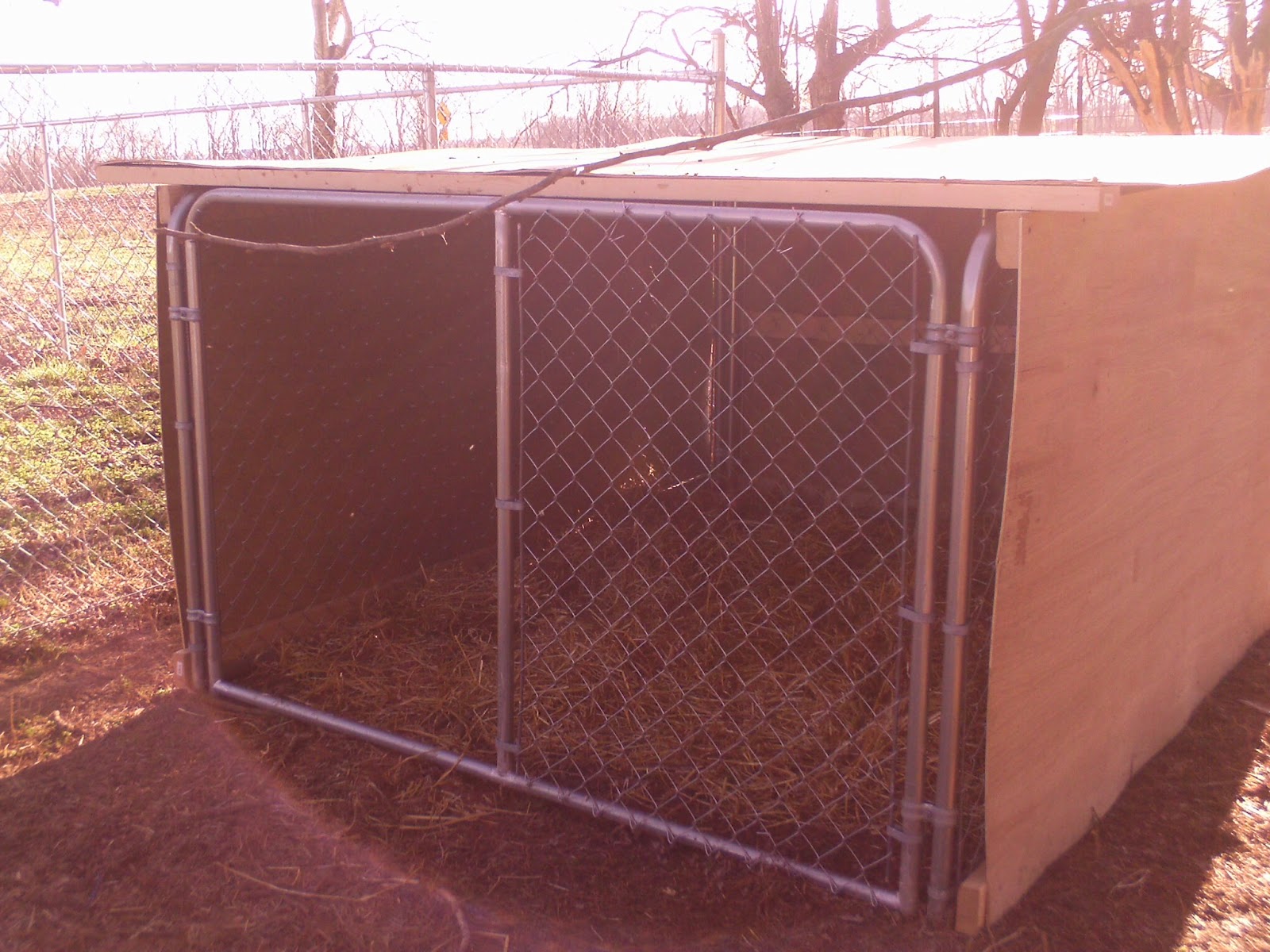 Easy Goat Shelter