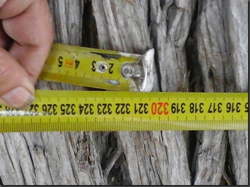 20150207_162936