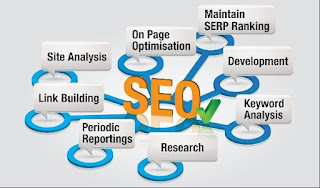 Live Contact Leads Local SEO Provider