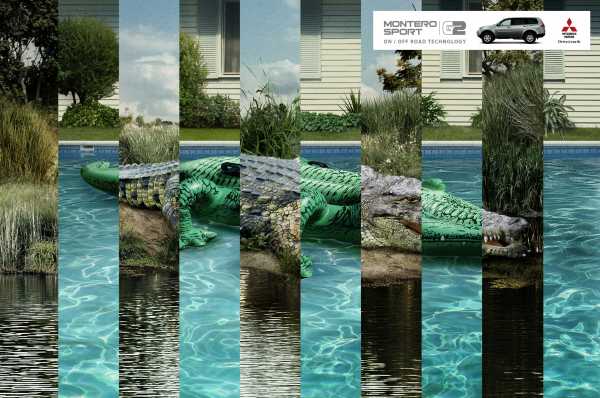 Crocodile