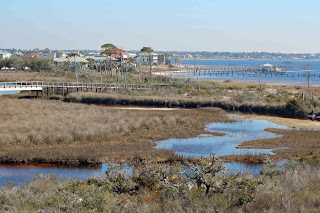 View from Observation Tower, Big Lagoon State Park