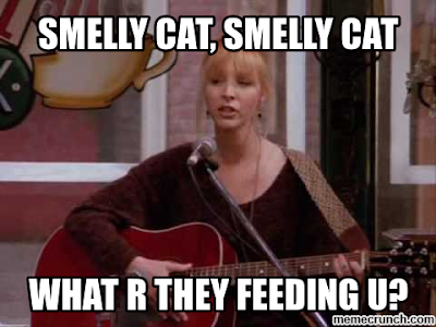 friends phoebe smelly cat