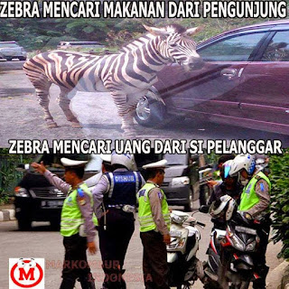 Koleksi Gambar Meme Foto Lucu Unik Operasi Zebra dan Razia Polisi