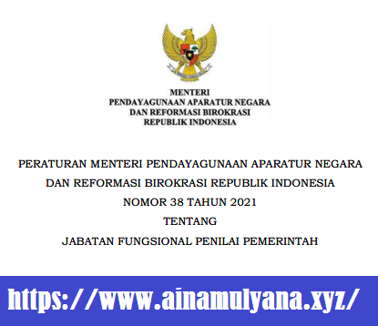 Peraturan Menpan RB Nomor 38 Tahun 2021 Tentang Jabatan Fungsional Penilai Pemerintah