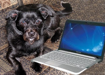 Kozmo and Laptop