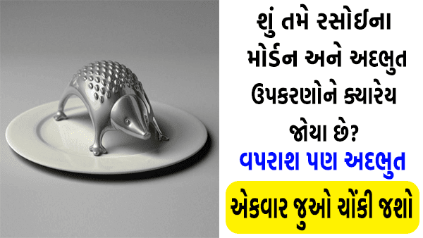 શું તમે રસોઈના આ અદભુત ઉપકરણોને ક્યારેય જોયા છે?