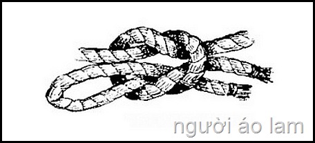 knots2