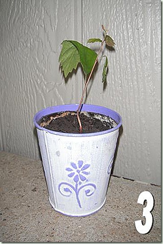 clip_image003[9]