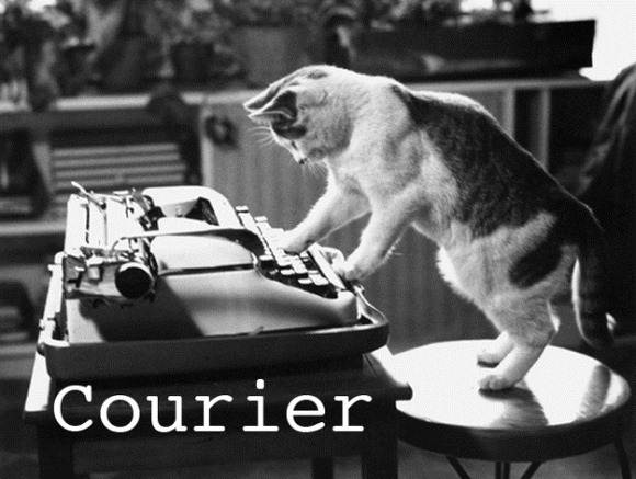 cats-as-fonts-16
