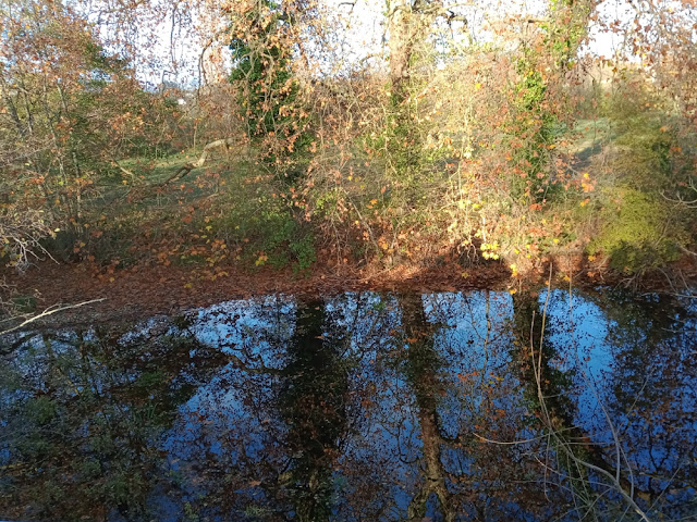 Reflections in a mill pond, Indre et Loire, France. Photo by Loire Valley Time Travel.