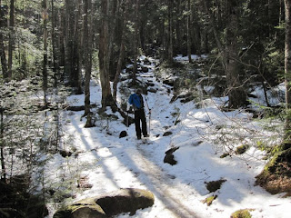 Snowy Trail