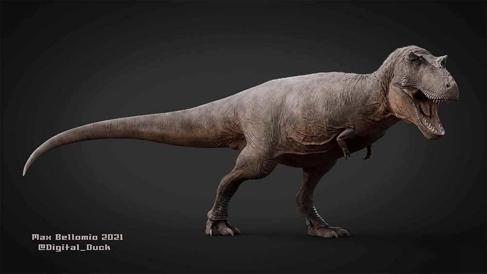 Novo estudo questiona existência dos Tiranossauro Rex tal como conhecemos