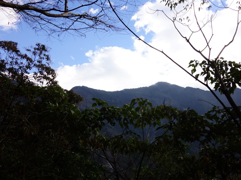 2013_1221 足母山_032