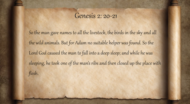 Bible Genesis 2:20-21