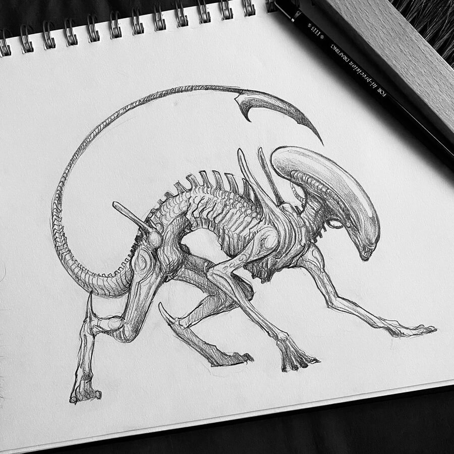 05-Xenomorph-alien-Magical-Drawings-Jennifer-Smart-www-designstack-co