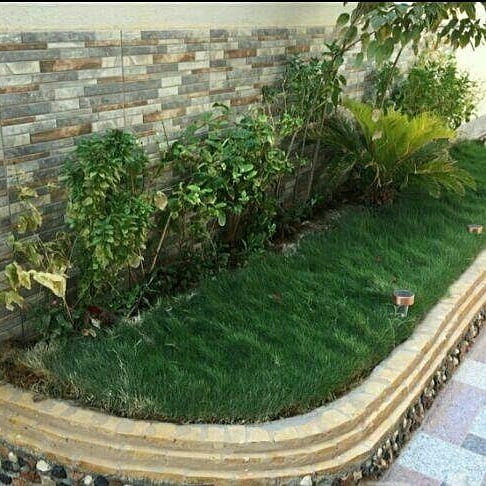 توريد عشب طبيعي الرياض  مساحات كبيرة بالرياض مزرعه 0580309536