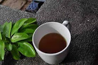 soursop leaves tea