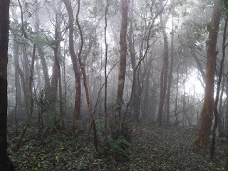 Pinoy Solo Hiker - Pantingan Peak