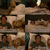 Frases do filme: Ted.