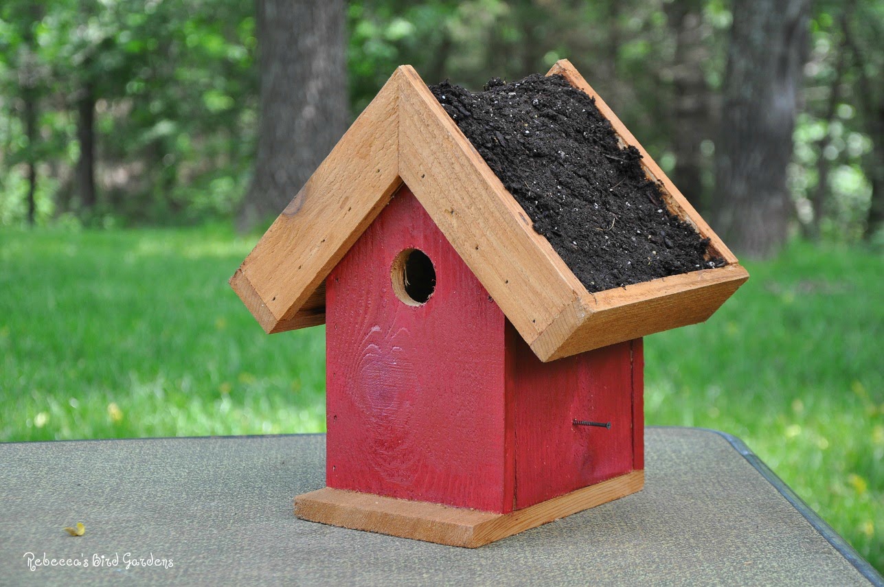 Rebecca s Bird Gardens Blog DIY Living Roof Birdhouse