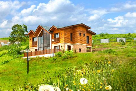 Dream Home