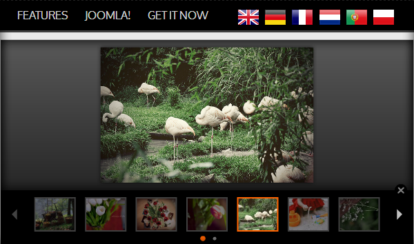 JSN ImageShow - theme Clasic