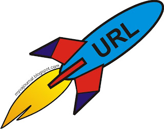 Rocket URL pagespeed